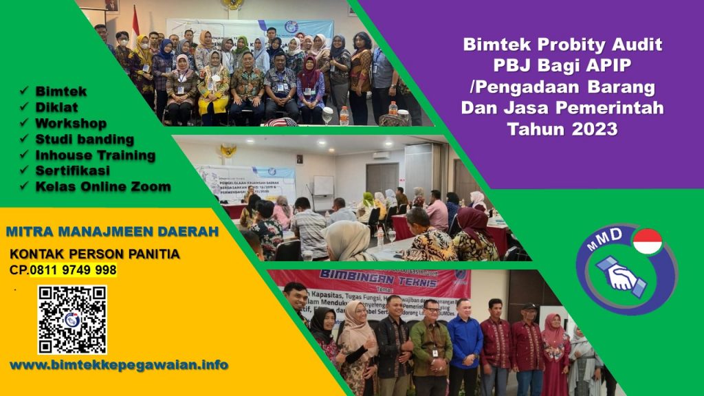 Info Bimtek Probity Audit PBJ Bagi APIP /Pengadaan Barang Dan Jasa Pemerintah Tahun 2023